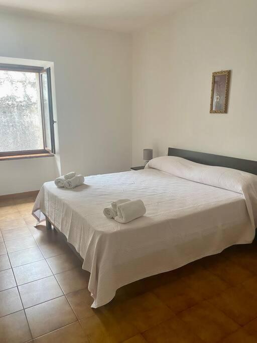 Casa Ca Orsa Villa Cavaion Veronese Buitenkant foto